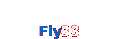 Fly33